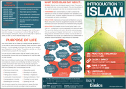 pamphlet preview
